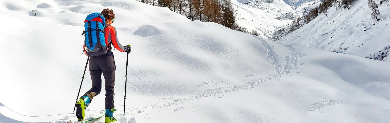 Big 5 Sporting Goods store -Big 5 Sporting Goods store 1rr