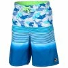 Laguna Boys' Summer Swim Shorts